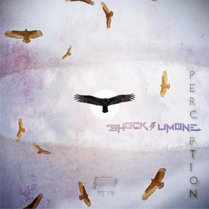 Perception (Explicit)