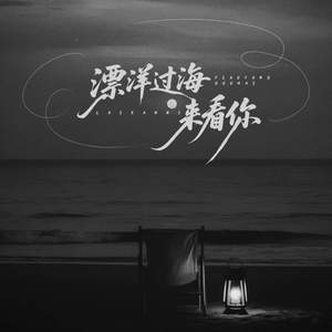 飘洋过海来看你