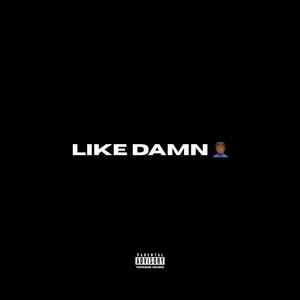 Like damn (Explicit)