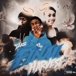 Rookie (feat. Shellheadbink) (Explicit)