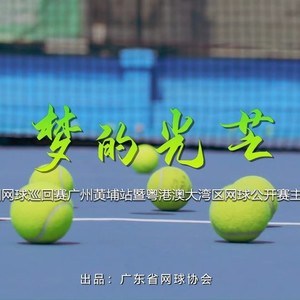 梦的光芒 (演奏版)