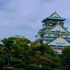 Echoes of the Infinite Castle