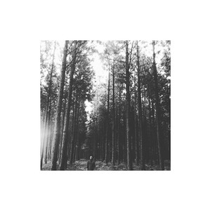 Trees (Explicit)