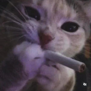 FASCINATED (Explicit)