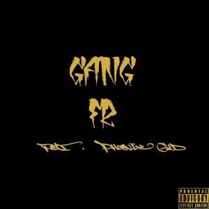 Gang FR (feat. Phoenix Gld) [Explicit]