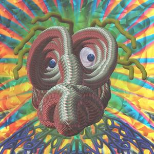 INTO THE FLY EYE (Explicit)