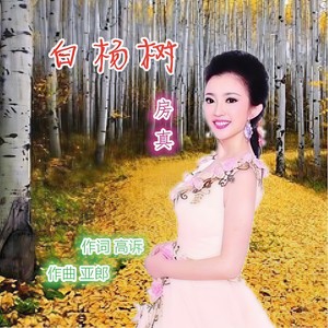 白杨树