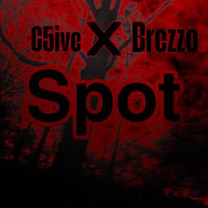 Spot (feat. Brezzo) [Explicit]