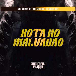 Xota no Malvadão (Explicit)