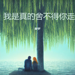 我真的舍不得你走