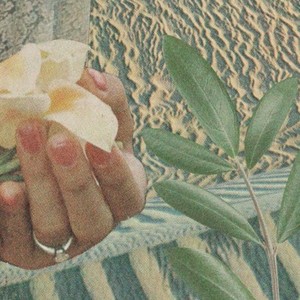 New Covenant Language