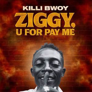 Ziggy U For Pay Me