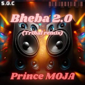 Bheba 2.0 (Tribal remix)