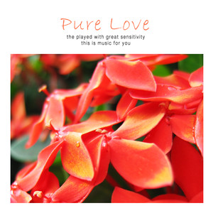 Pure Love (纯真的爱)