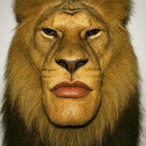 Till I Wake Up (Explicit)