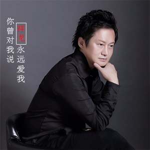 你曾对我说永远爱我