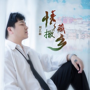 情撒藏乡 (DJ何友版伴奏)