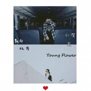 群星-飘向北方 (Young Flower / 小智 remix)