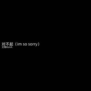 对不起 (Im So Sorry)