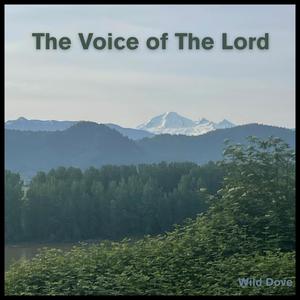 Born Again (Acoustic Version)