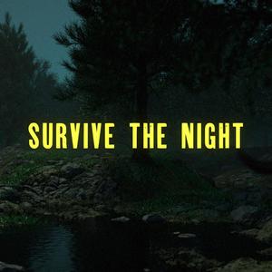 Survive the Night (Explicit)