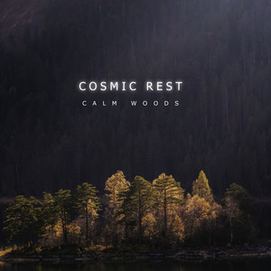 Cosmic Rest