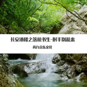 长安酒楼之落榜书生