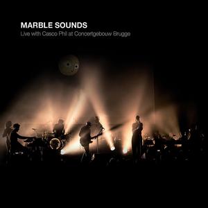 Leave a Light On (Live at Concertgebouw Brugge, 14/04/2017)