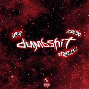 dumbshit (feat. YungXk & stayalone) (Explicit)