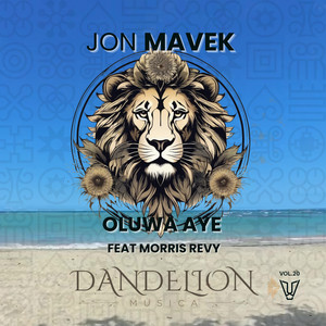 Oluwa Aye (Original Mix)