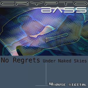 No Regrets Under Naked Skies - Single