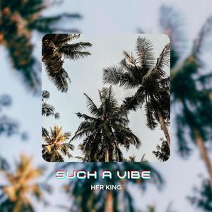 Such A Vibe (Explicit)