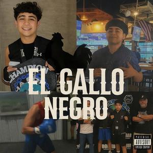 El Gallo Negro