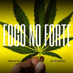 FOGO NO FORTE