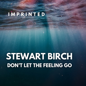 Don't Let The Feeling Goe (Original Mix)