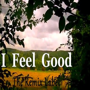 I Feel Good (Fitness House Music for Working Out)