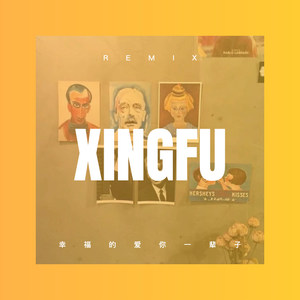 一生一世守护你 (DJ版)