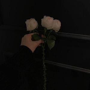 without you (feat. $ile, rien, perllune, noahsuri & jvne) (Explicit)