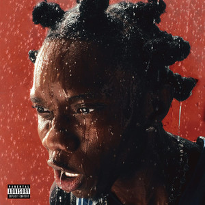 FINE SHYT (feat. Tml Vibez)