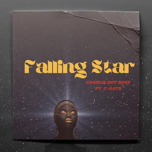 Falling Stars (feat. C-Gats) [Explicit]