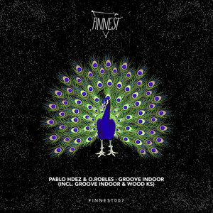Pablo Hdez - Groove Indoor