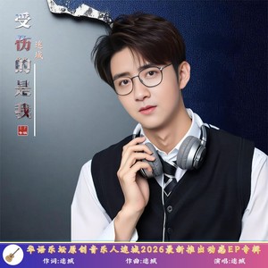 受伤的是我 (DJ版)