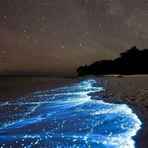 周深-化身孤岛的鲸 (吉他版|懒扬Yawn Remix)