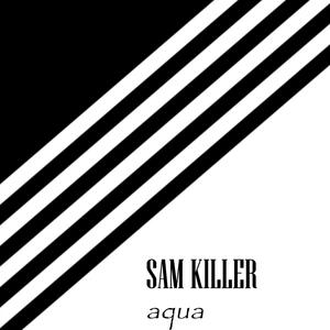 Aqua (Original Mix)