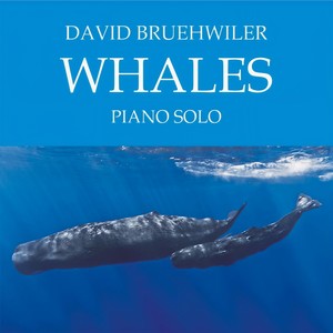 Whales (鲸鱼)