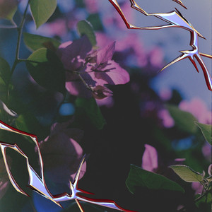 Tach Tach (Explicit)