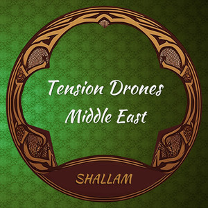 Tension Drones Middle East