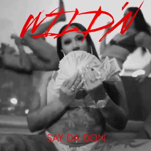 Wild'n (Explicit)
