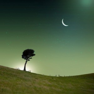 大自然的声音 (婴儿催眠曲)