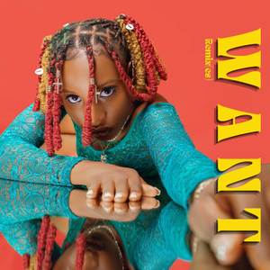 Want (Remixes)